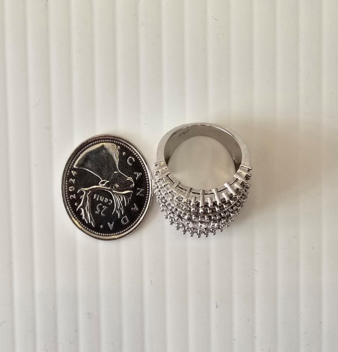 Fifth Avenue Collection Ring